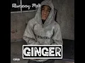 Ginger (Sped Up Version)