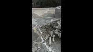                                   دندنها