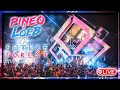 Lagu PINEO \u0026 LOEB Live @ Future Forest 2025 FULL SET 4K