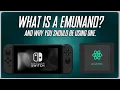 Whats an Emunand Emummc and Should you use one