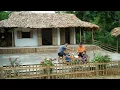 Download Lagu Menanam pohon buah di lahan baru - makan bersama keluarga saat rumah selesai dibangun.