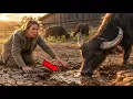 Her Buffalo Kept Digging the Same Spot What She Found Changed Everything