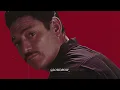 Javier Solís - En Tu Pelo (Letra)