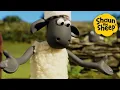 Download Lagu Chef Shaun 🐑 Shaun the Sheep 🐑  - Cartoons for Kids 🐑 Full Episodes Compilation [1 hour]