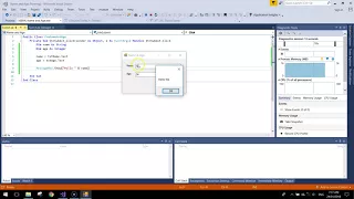 Visual Basic Tutorial - Name Age App