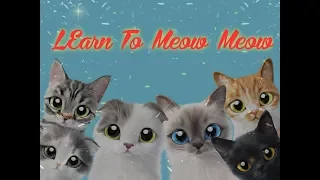learn to meow meow lyrics