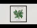 Maren Morris, Hozier - The Bones (Official Visualizer)