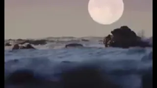 تلاوات مجمعة ساعة كاملة وكأن صوتة نزل من السماء القارئ عبدالله احمد شعبان 