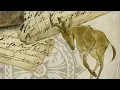 Download Lagu 1. Yaelokre - Hartebeest 𓆱 (Lyrics)