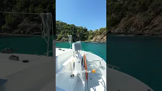 This is my office! I’ve swapped rush hour commutes for morning hikes & coffee breaks for snorkling