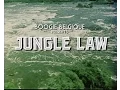 Download Lagu Boogie Belgique - Jungle Law (Official Music Video)
