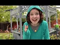 LuLaRoe Eliza Review Size XS
