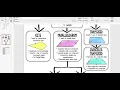 7 5C Summary of Special Quadrilaterals Properties Flow Chart