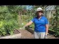 Cover crops and nitrogen fixing