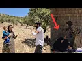 Download Lagu Behnam asks for forgiveness from Elham and tells the truth.