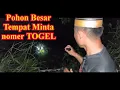 Download Lagu 🌍Mendatangi Pohon Tempat Minta NOMOR TOGEL