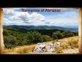 The SHOCKING Truth About Italian Last Names in Abruzzo Region