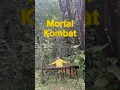 Download Lagu FINISH HIM… with mallets🎶 Here’s the Mortal Kombat theme, marimba style. (Mortal Kombat on Marimba)