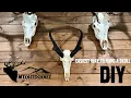 HOW TO MOUNT A SKULL TO THE WALL EASY CHEAP