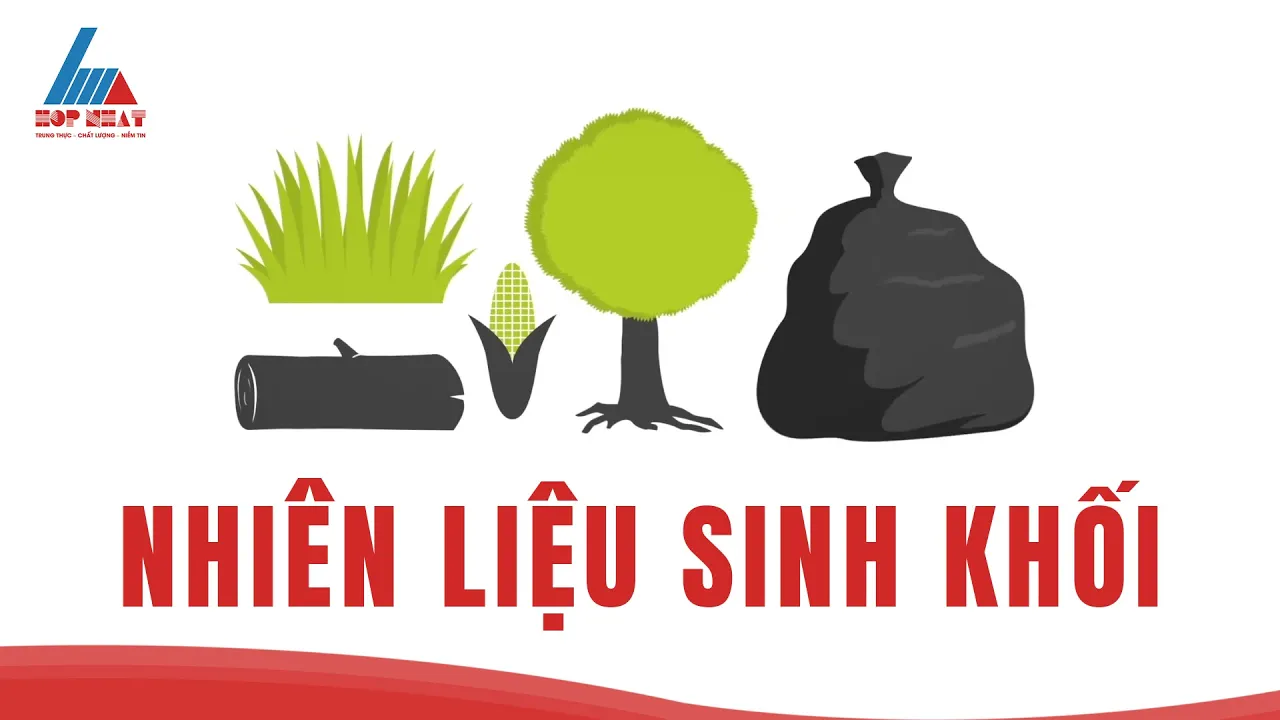 Outline Video Nhiên Liệu Sinh Khối | Biomass | Năng Lượng Sinh Khối | Năng Lượng Xanh