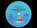 Download Lagu Toots \u0026 The Maytals – I Can See Clearly Now (+Dub)