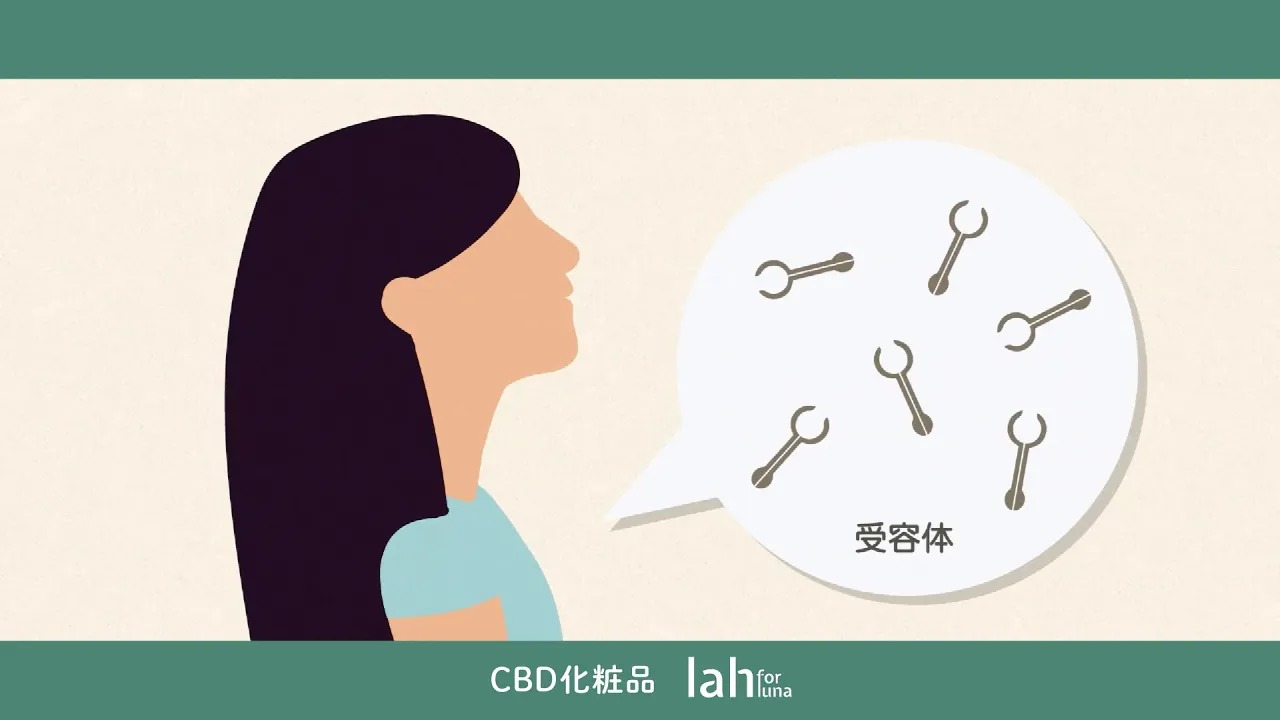 化粧品紹介動画制作事例