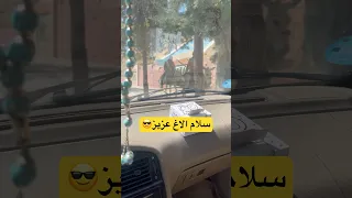 سطح شهر پارک شیرین Love موسیقی الاغ خر Shorts صدای خاص 