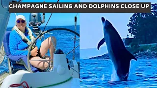 EP 34 – Champagne sailing and Dolphins close up   HD 1080p