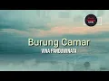 Download Lagu Burung camar, Vina Panduwinata dan lirik (Lyric)  | 528 Hz Music | Musik nostalgia | Lagu kenangan