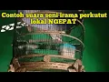 Contoh Suara seni irama perkutut Lokal NGEPAT