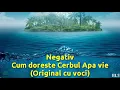 Download Lagu Negativ Cum doreste cerbul apa vie (Original cu vocii)