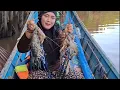 Download Lagu Nekat mancing udang galah saat hujan petir,malah banyak strike udang galah capit biru dan kuning