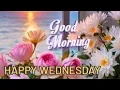 Good morning wednesday picture Good morning flowers images