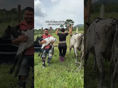 QUE NOMBRE LE PONEMOS ?