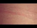 KUČKA - Honey [Official Music Video]