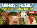Download Lagu Animais de Fazenda Espertos e Engraçados 🐮🤣 | Parte 23