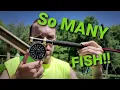 Martin 63 SS and Berkeley Hunter series Fly Rod fly fishing for panfish [Fishingsir flies]