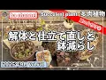 Download Lagu 631{多肉植物}真夏の胴切り⁉️３週間後の見事な発根の様子【多肉事】【多肉解体】【鉢減らし】【夏の片付け】【ba多肉】【baチャンネル】【Succulent】