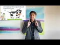 Cow's Saliva prevents sexually transmitted diseases -  Dr. Pramil Cheriyath