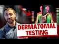 Dermatome Testing Essentials for Radicular Low Back Pain Diagnosis