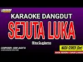 Download Lagu SEJUTA LUKA KARAOKE DANGDUT - RITA SUGIARTO