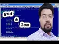 GCD and LCM using while loop
