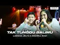 Download Lagu Lusyana Jelita Ft Syahrul Syah - Tak Tunggu Balimu | Dangdut (Official Music Video)