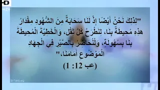 سحابة من الشهود دندنها