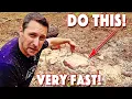 How To Remove A Tree Stump Quickest and Easiest Method