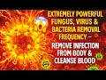 EXTREMELY POWERFUL FUNGUS VIRUS BACTERIA REMOVAL FREQUENCY - Remove Infection Cleanse Blood