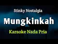 Download Lagu STINKY MUNGKINKAH - KARAOKE NADA PRIA 