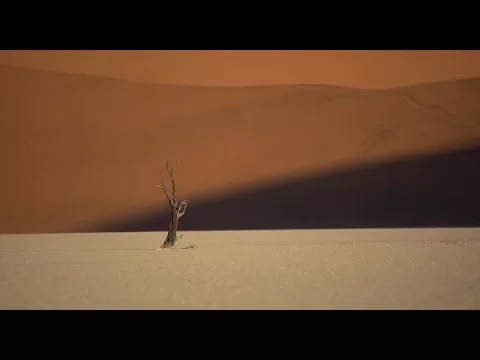 IDFA 2017 | Trailer | In Praise of Nothing