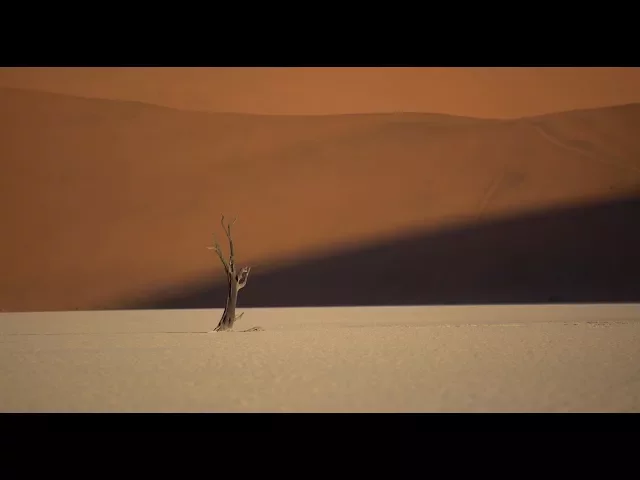 background images