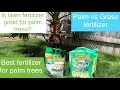 lawn fertilizer for palm tree good or bad revisited